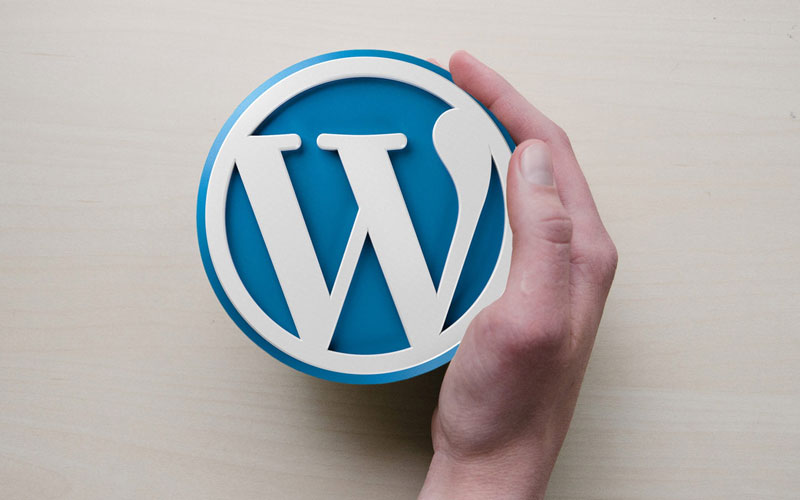 طراحی سایت با وردپرس در شیراز | همه چیز درباره سایت وردپرسی